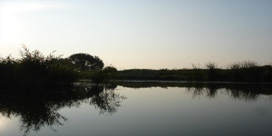 baltasabangia.ro, Tulcea